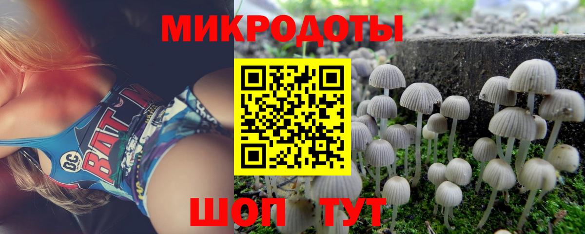 Псилоцибиновые грибы Magic Shrooms Псков